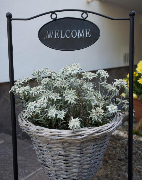 Hotel Garni Fiegl 3*